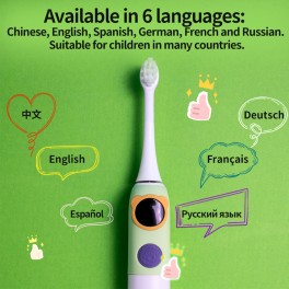 IPX7 Sonic Electric Toothbrush