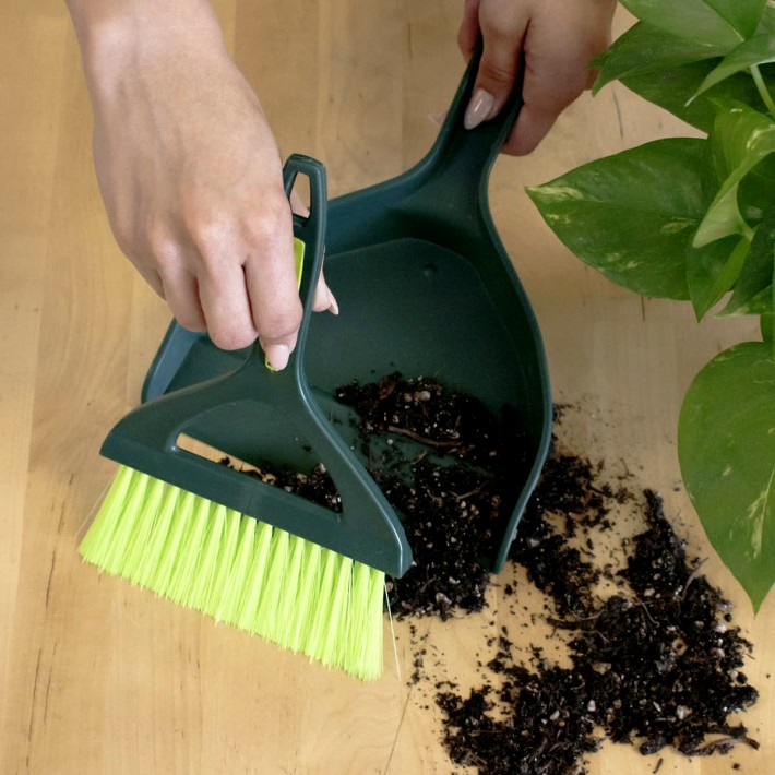 Mini Dustpan and Brush Set